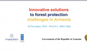 Presentation on innovative solutions to forest protection challenges in Armenia at the headquarters of the BSEC Organization